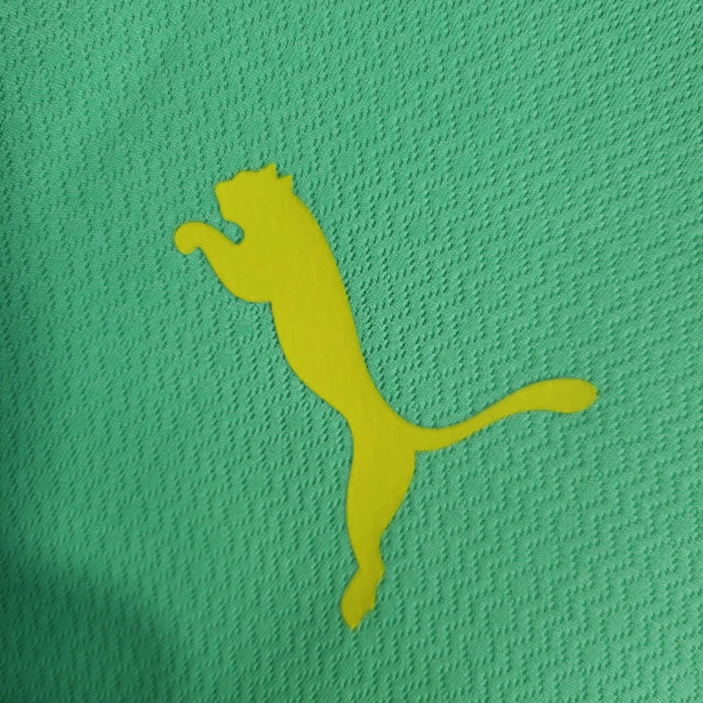 Camisa Palmeiras III 22/23 Torcedor Puma Masculina - Verde Esmeralda